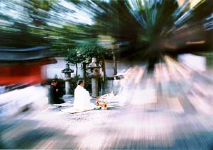 mitama_miyanushi