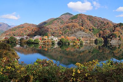11月27日　丹沢湖の紅葉