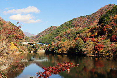 11月27日　丹沢湖の紅葉
