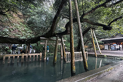 立春参拝会　鹿島神宮