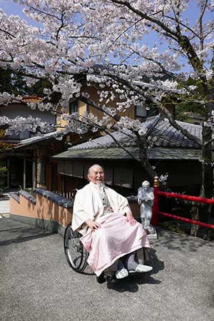 本部の桜が開花