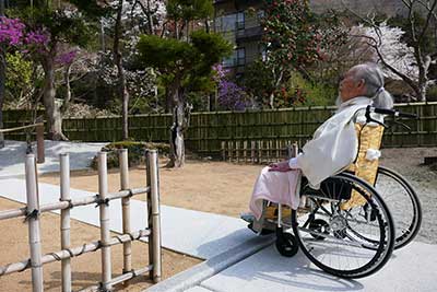 本部の桜が開花
