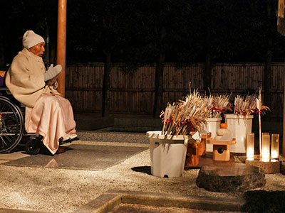 本部の桜が開花